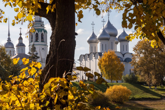 Вологодской области – 85: к юбилею региона предлагаем вологжанам 15 поводов для гордости